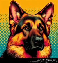 german_shepherd_andy_warhol_001_20240903.jpg