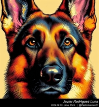 german_shepherd_andy_warhol_004_20240903.jpg