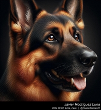 german_shepherd_chuck_close_001_20240902.jpg