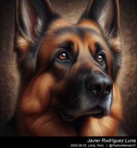 german_shepherd_chuck_close_002_20240902.jpg