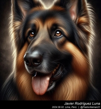 german_shepherd_chuck_close_003_20240902.jpg