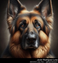 german_shepherd_chuck_close_004_20240902.jpg