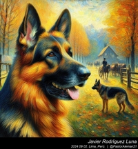 german_shepherd_claude_monet_002_20240902.jpg