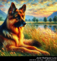 german_shepherd_claude_monet_004_20240902.jpg