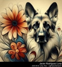 german_shepherd_georgia_o'keeffe_002_20240902.jpg