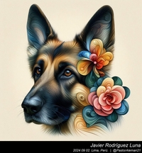 german_shepherd_georgia_o'keeffe_003_20240902.jpg