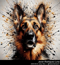 german_shepherd_jackson_pollock_002_20240902.jpg