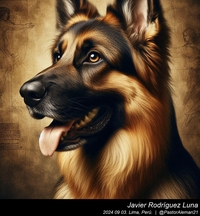 german_shepherd_leonardo_da_vinci_002_20240903.jpg