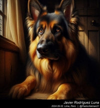 german_shepherd_rembrandt_van_rijn_005_20240902.jpg