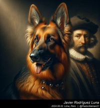 german_shepherd_rembrandt_van_rijn_009_20240902.jpg