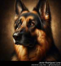 german_shepherd_rembrandt_van_rijn_015_20240902.jpg