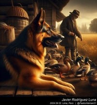 german_shepherd_rembrandt_van_rijn_016_20240902.jpg