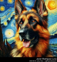 german_shepherd_vincent_van_gogh_005_20240902.jpg