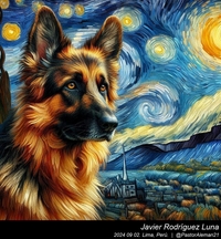 german_shepherd_vincent_van_gogh_006_20240902.jpg