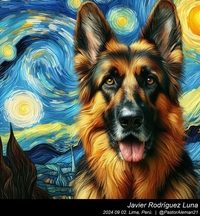 german_shepherd_vincent_van_gogh_007_20240902.jpg