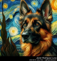 german_shepherd_vincent_van_gogh_008_20240902.jpg