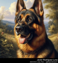 german_shepherd_art_003_20240902.jpeg