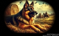 german_shepherd_art_005_20240902.jpeg