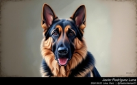 german_shepherd_art_008_20240902.jpg