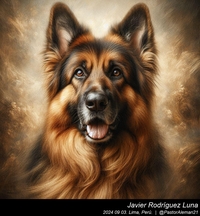 german_shepherd_art_012_20240903.jpg