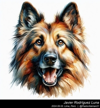 german_shepherd_art_014_20240903.jpg