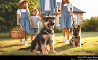 german_shepherd_family_013_20240713.jpeg