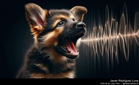 german_shepherd_barking_007_20240829.jpeg