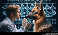 german_shepherd_genetics_005_20240730.jpeg