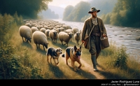 german_shepherd_sheep_046_20240713.jpeg