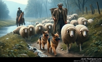 german_shepherd_sheep_050_20240713.jpeg