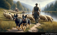 german_shepherd_sheep_054_20240713.jpeg