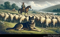 german_shepherd_sheep_057_20240713.jpeg