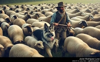 german_shepherd_sheep_061_20240713.jpeg