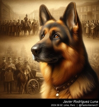 german_shepherd_history_002_20240902.jpeg