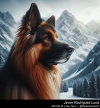 german_shepherd_in_the_mountains_001_20240830.jpeg