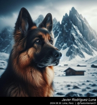 german_shepherd_in_the_mountains_002_20240830.jpeg