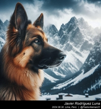 german_shepherd_in_the_mountains_003_20240830.jpeg