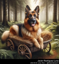 german_shepherd_too_much_002_20240902.jpeg